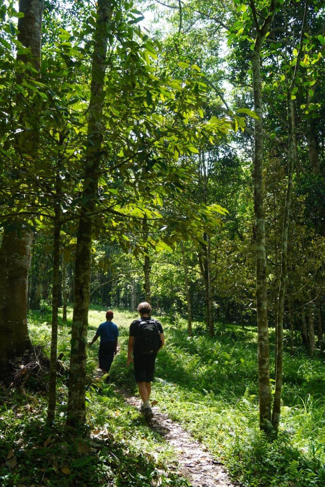 Tetebatu Indah Homestay 외부 사진