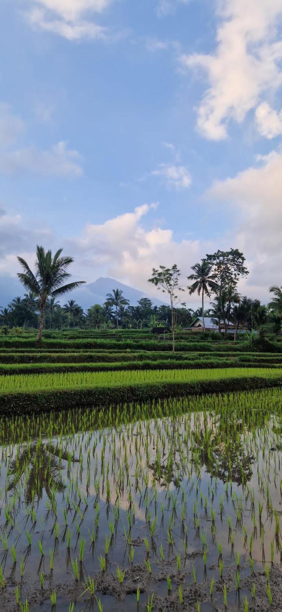 Tetebatu Indah Homestay 외부 사진