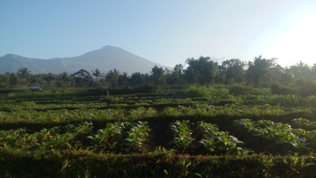 Tetebatu Indah Homestay 외부 사진