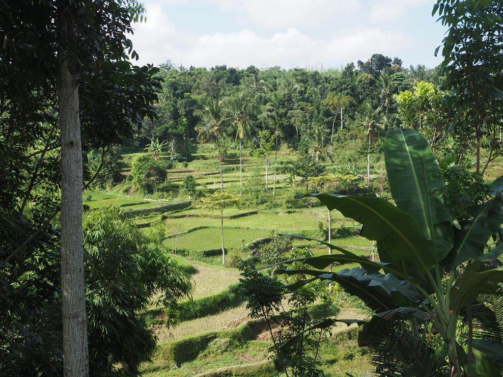 Tetebatu Indah Homestay 외부 사진