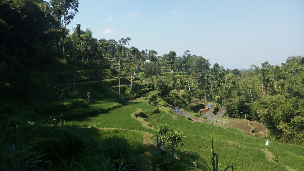 Tetebatu Indah Homestay 외부 사진