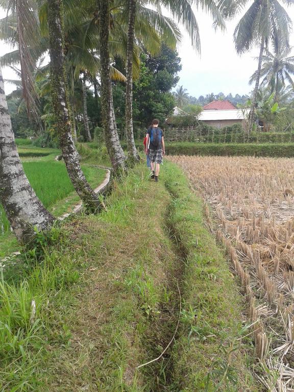 Tetebatu Indah Homestay 외부 사진