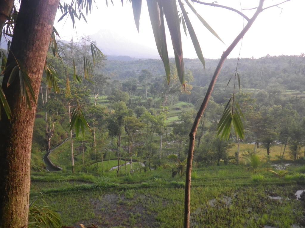 Tetebatu Indah Homestay 외부 사진