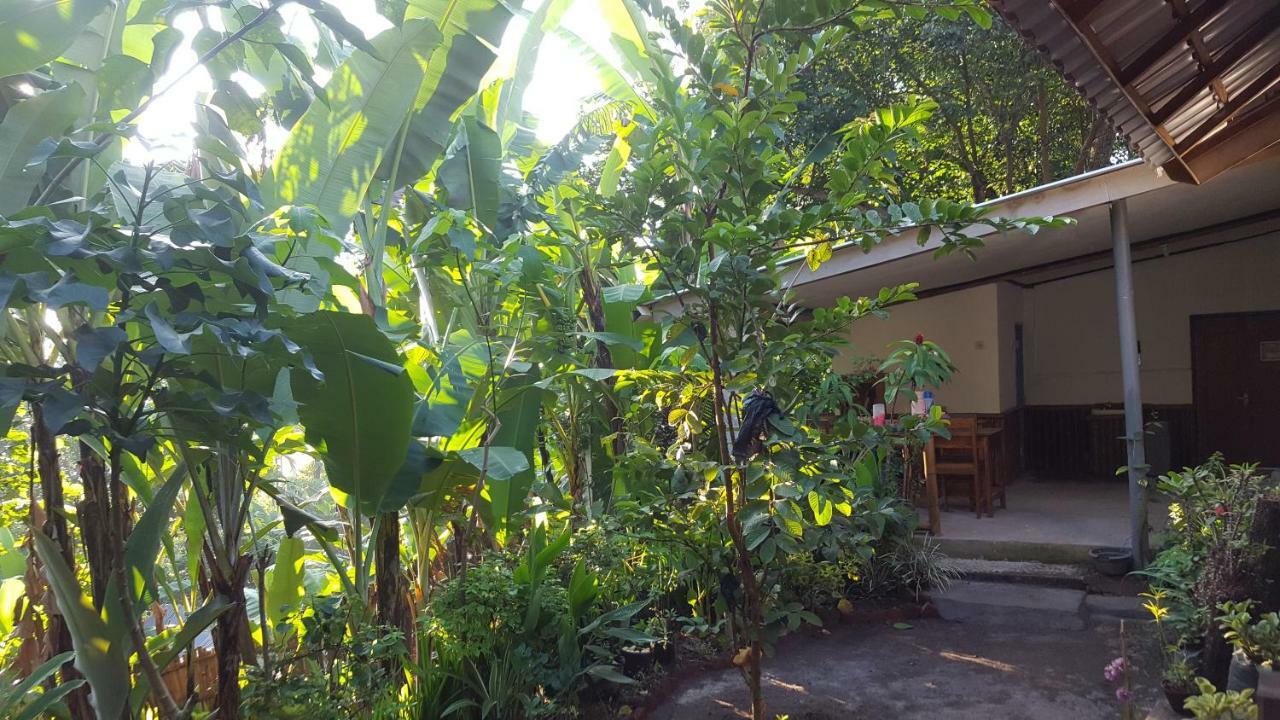 Tetebatu Indah Homestay 외부 사진